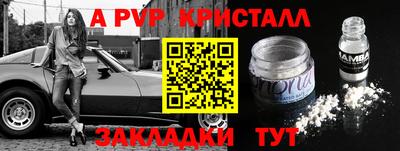 МДПВ Новозыбков