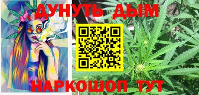 МДПВ Новозыбков