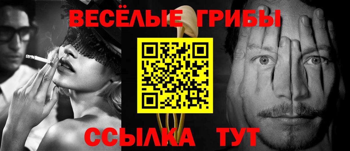 Псилоцибиновые грибы Psilocybe Тосно